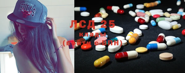 прущие крисы Пестово