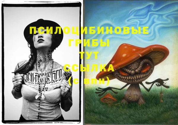 таблы Переславль-Залесский