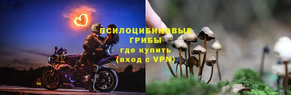прущие крисы Пестово