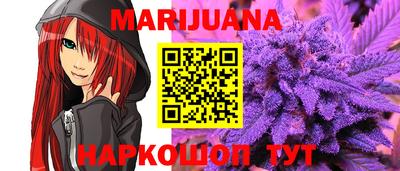 гашик Славгород