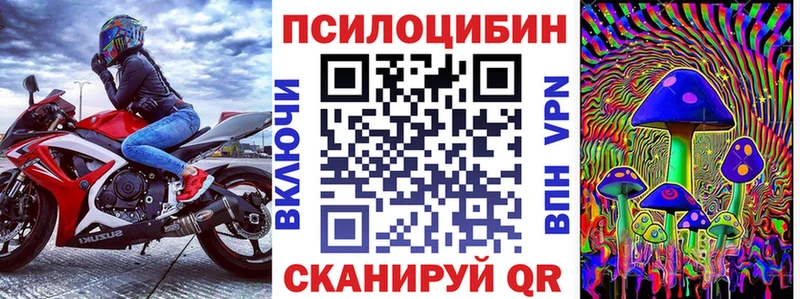 Псилоцибиновые грибы мицелий  Стерлитамак 