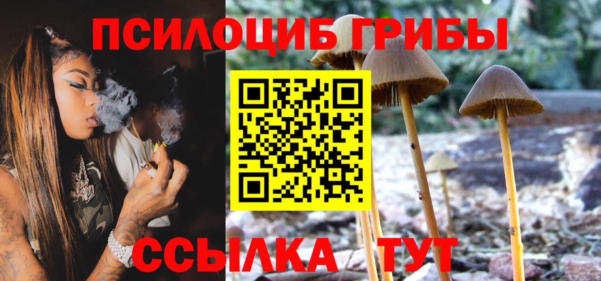 Стерлитамак  Псилоцибиновые грибы Psilocybe  где найти наркотики  Галлюциногенные грибы мухоморы  Вход с VPN 